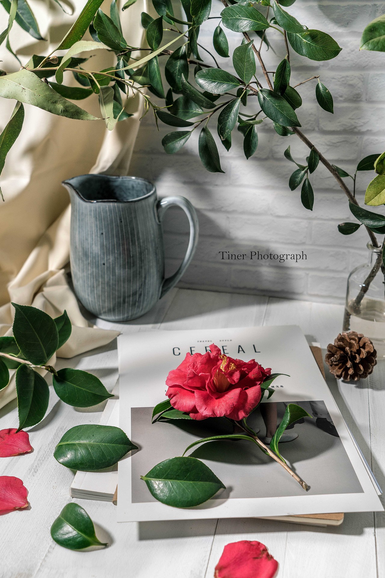 2018.1-2月静物摄影合集（图ZMTA2NjUxMzgw） - 产品摄影 - 站酷设计师Tiner宅宅原创素材 - 站酷ZCOOL