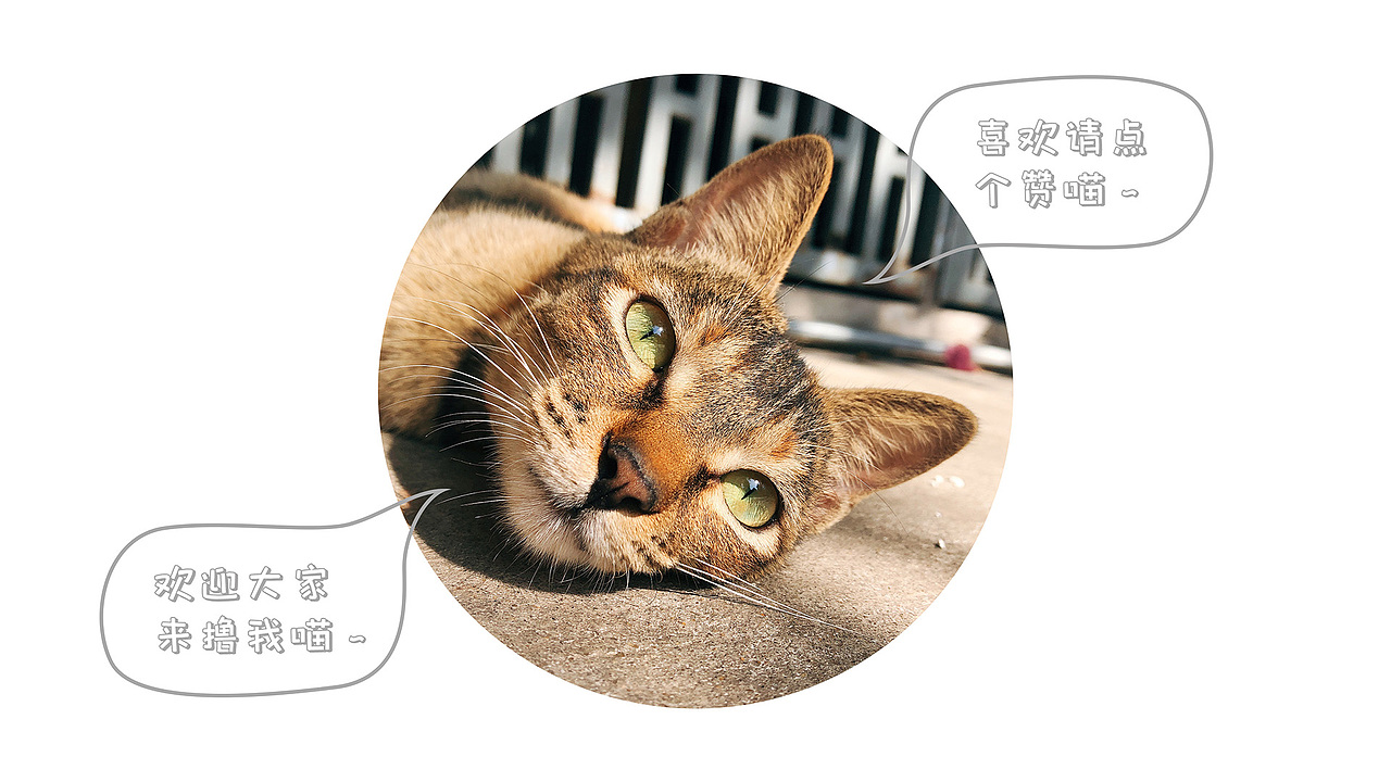 花园式画室——慕溪艺术品牌设计（图ZMjAyNjYyMDU2） - 品牌 - 站酷设计师M仔bakushibi原创素材 - 站酷ZCOOL