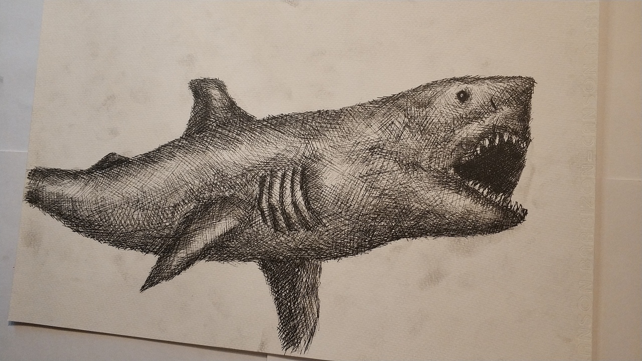 巨齿鲨怎么画可怕恐怖图片