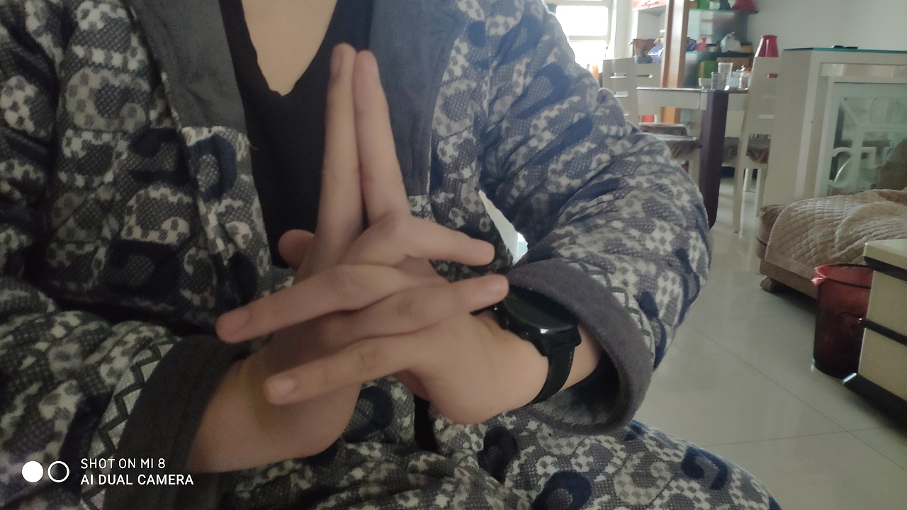 《布老虎——病魔退散，万物迎春》（图ZMjIxMzAwMTgw） - 图案 - 站酷设计师烟Bar原创素材 - 站酷ZCOOL