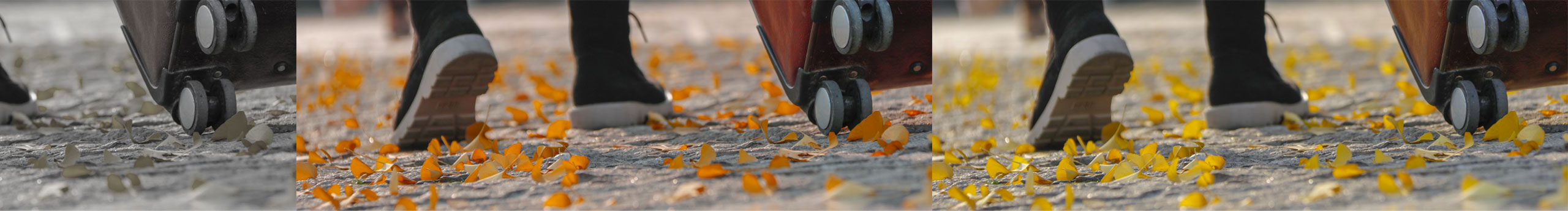 岗藏文化的个人主页（封面预览） - 主页封面设置 - 站酷设计师岗藏文化原创素材 - 站酷ZCOOL