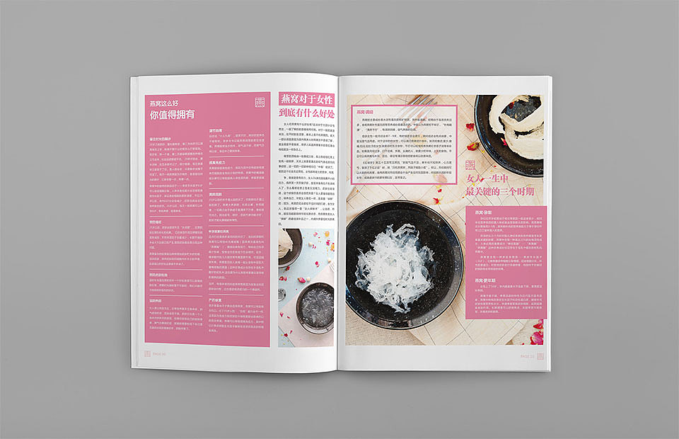 墨儿燕燕窝画册设计/燕窝宣传册设计/燕窝杂志设计/天津戈雅设计/高端燕窝画册设计/燕窝品牌设计