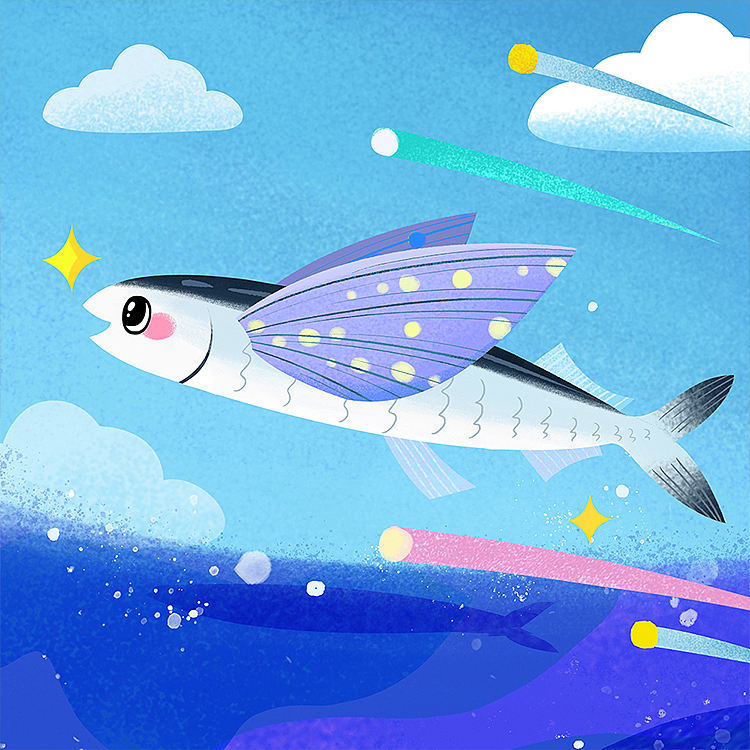 世界之最动物2-飞鱼-世界上飞得最远的鱼