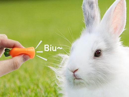 亚马逊-玩具图片设计