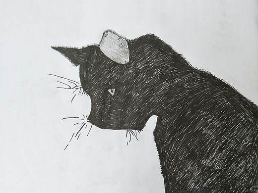 小黑猫