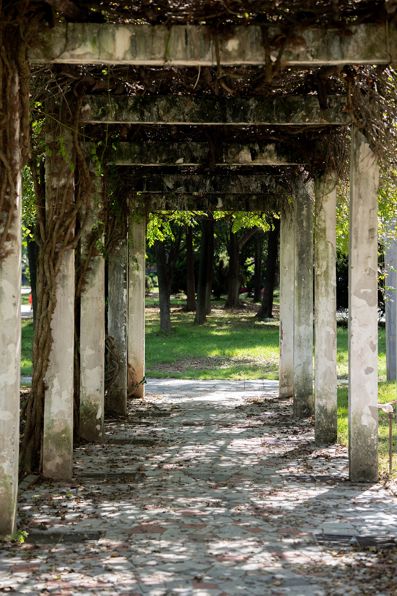 【扫街人文】宜昌西坝公园