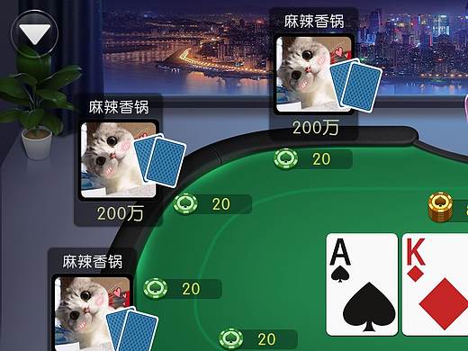 棋牌游戏2