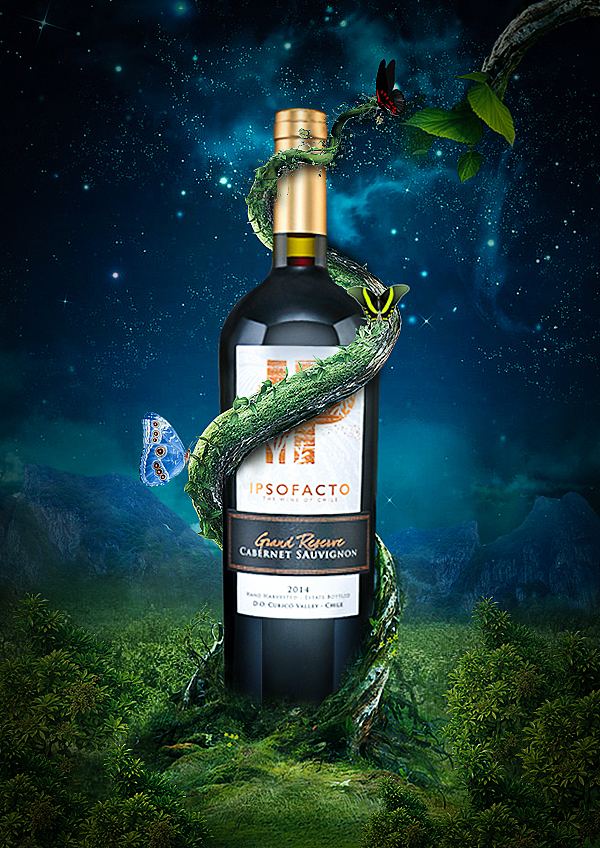 平面设计作品-部分临摹