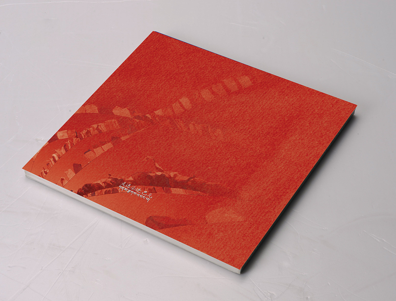 方案一(封底面背面效果)