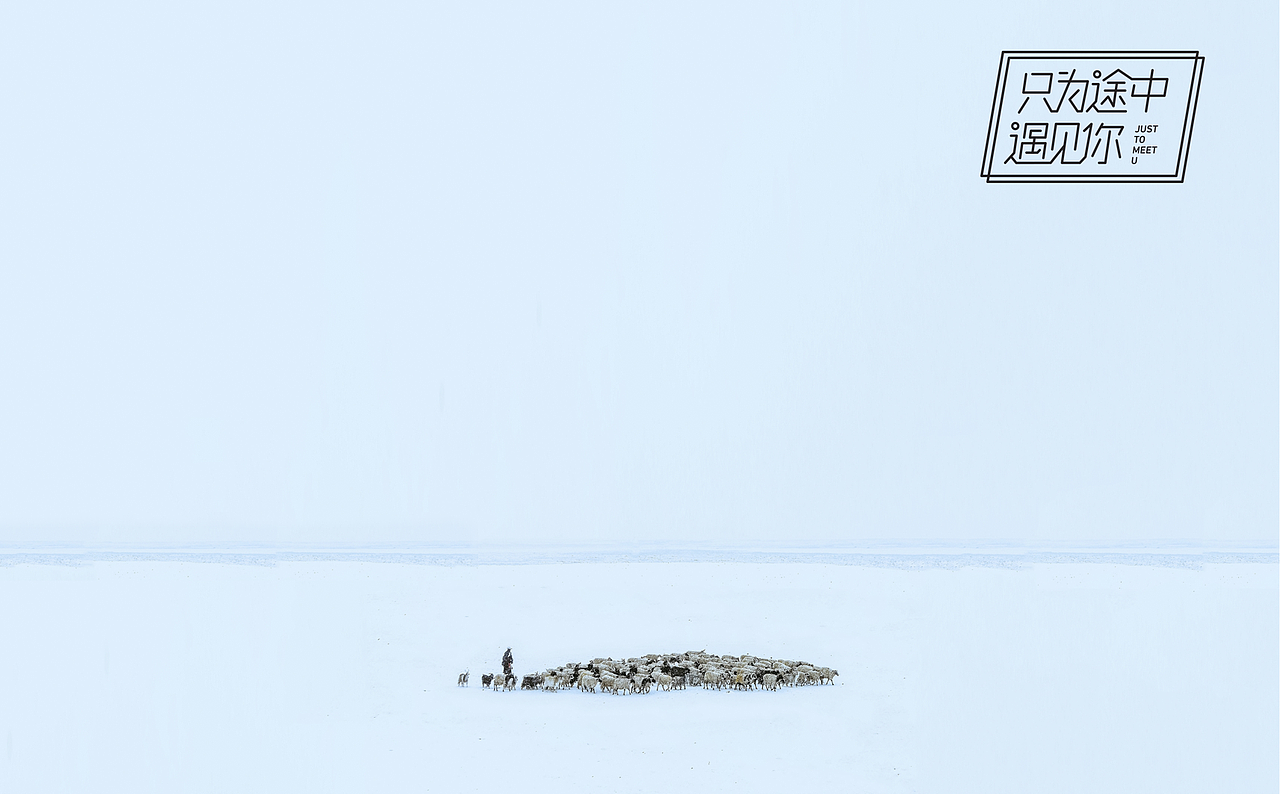 只为途中遇见你 | 五套品牌形象设计提案