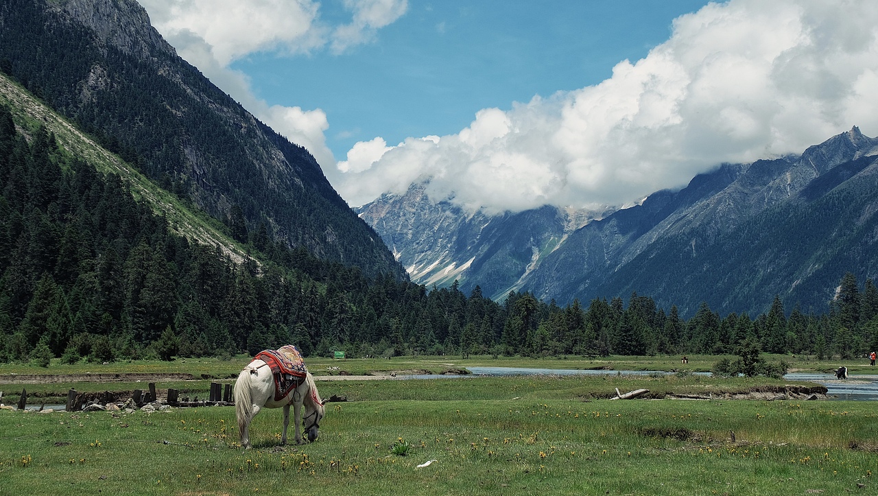 林芝秘境（图ZMzYxMTgyNDg4） - 风光摄影 - 站酷设计师摄影阿梁原创素材 - 站酷ZCOOL