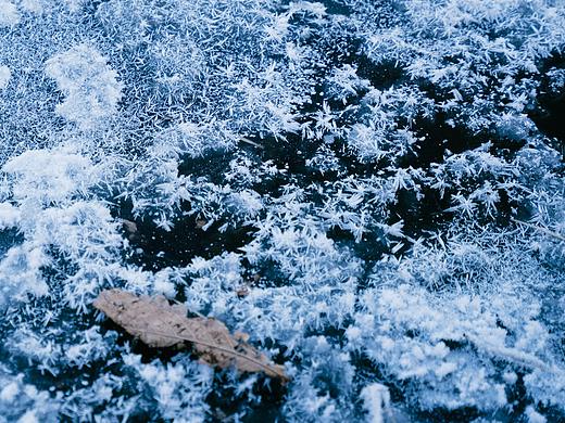 雪国记事 | 长白山的一个冬日
