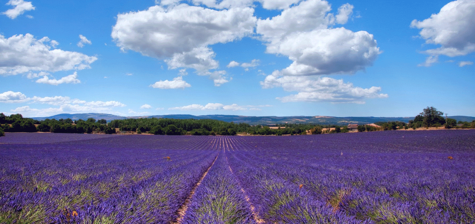 创意设计/banner（图ZNzY4NTQyODQ=） - 运营设计 - 站酷设计师柒S视觉设计原创素材 - 站酷ZCOOL