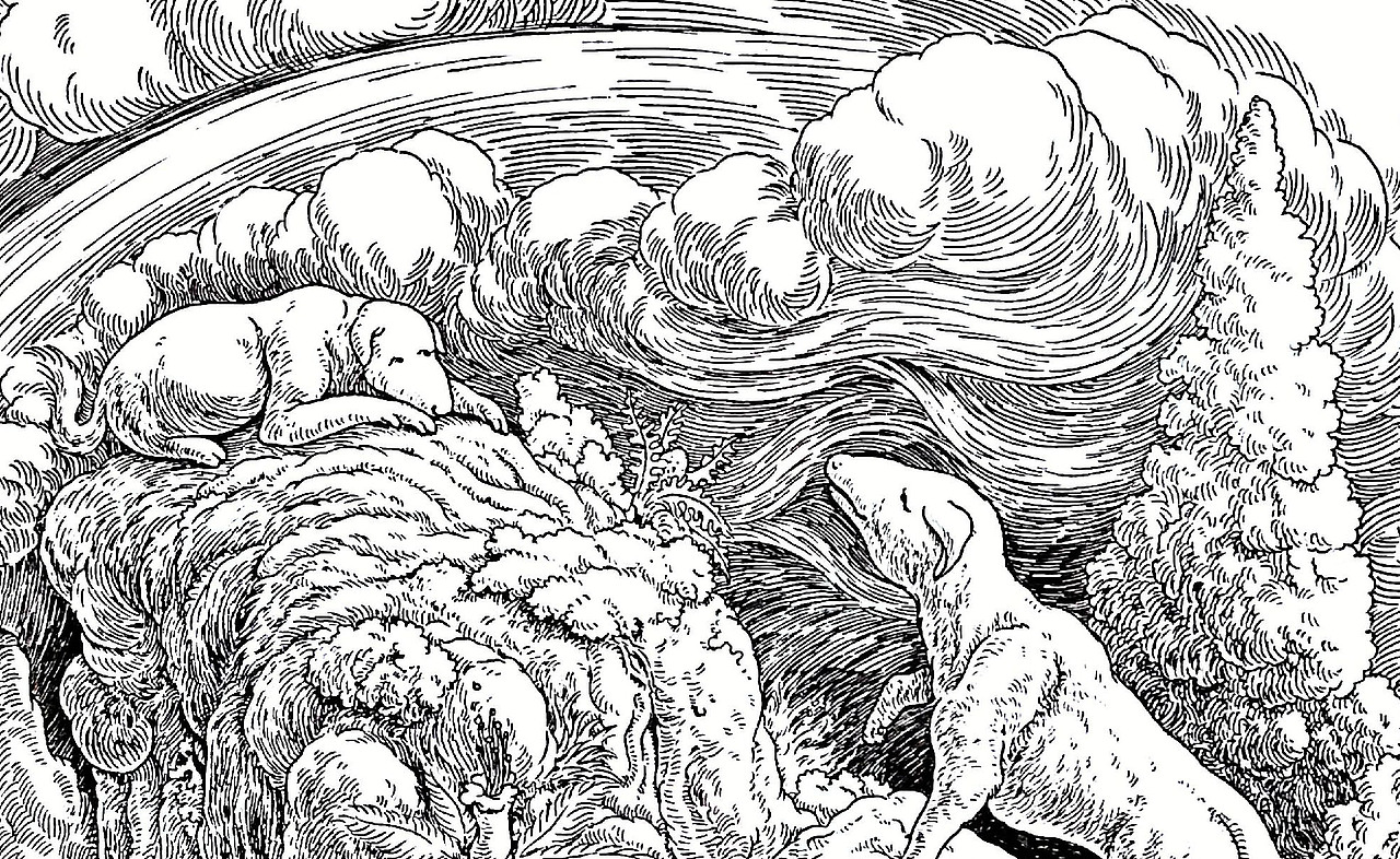 关于排线|插画|创作习作|绿野仙踪wyt_原创作品-站酷zcool