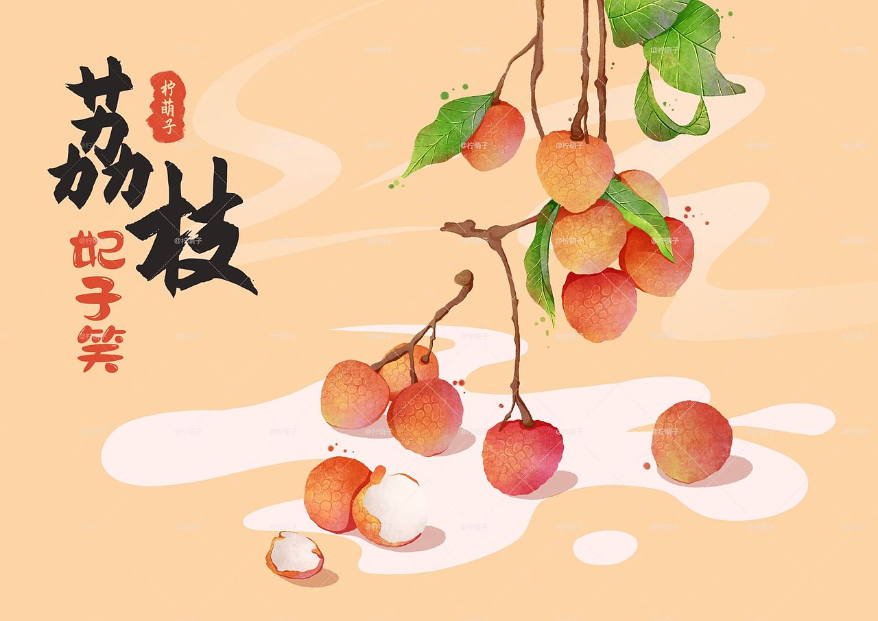 原创扁平肌理包装插画|荔枝