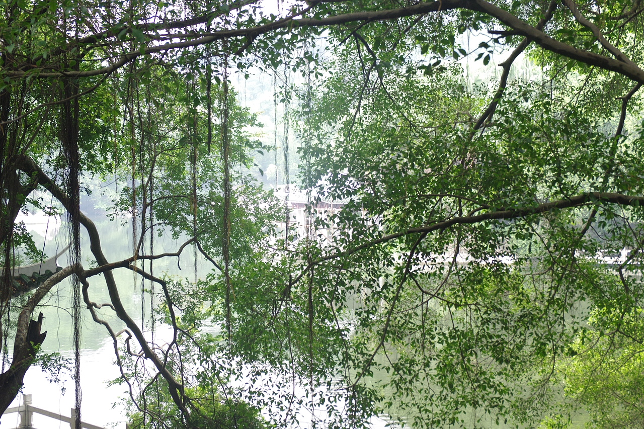 户外摄影--厦门摄影（鼓浪屿、植物园）（图ZNTc4Mzc1ODQ=） - 环境/建筑摄影 - 站酷设计师今天能喝咖啡了吗原创素材 - 站酷ZCOOL