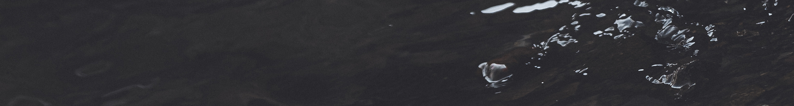 尤宁的个人主页（封面预览） - 主页封面设置 - 站酷设计师尤宁原创素材 - 站酷ZCOOL