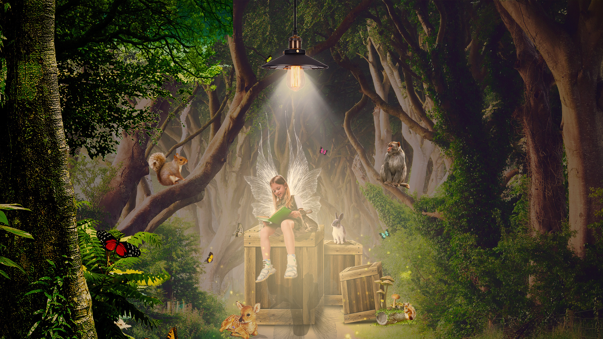 森林中的小天使