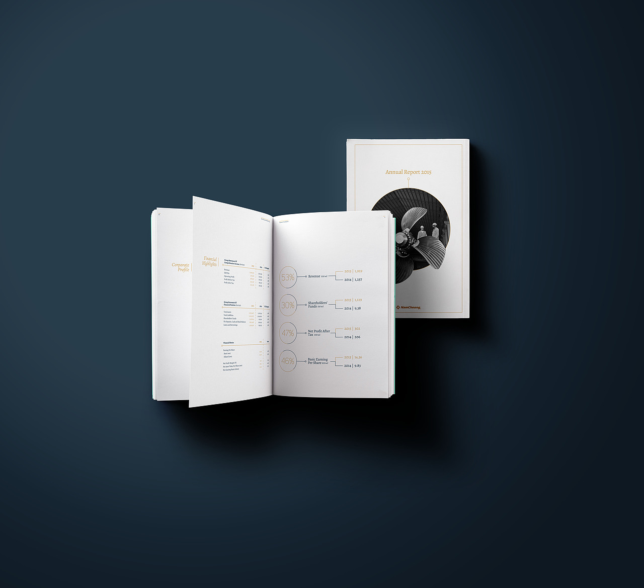 Nam Cheong Annual Report 2015 [proposal #2]