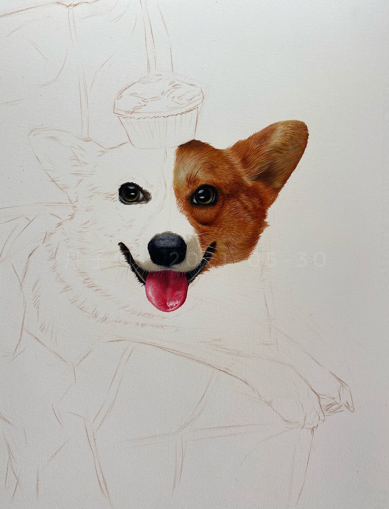 彩铅动物-《柯基》