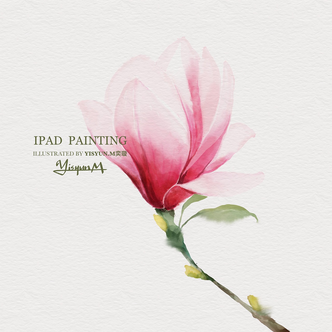 iPad绘-花和美食（图ZMjQyNzE5NTEy） - 创作习作 - 站酷设计师奕璇Yisyun原创素材 - 站酷ZCOOL