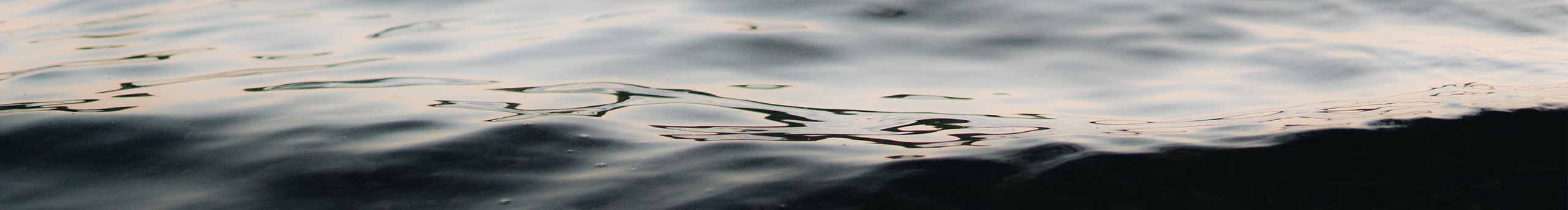 念谨的个人主页（封面预览） - 主页封面设置 - 站酷设计师念谨原创素材 - 站酷ZCOOL