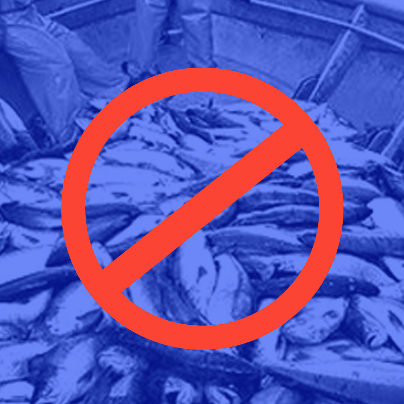 《渔禁》学龄期儿童禁渔期公益宣传设计——视传毕设