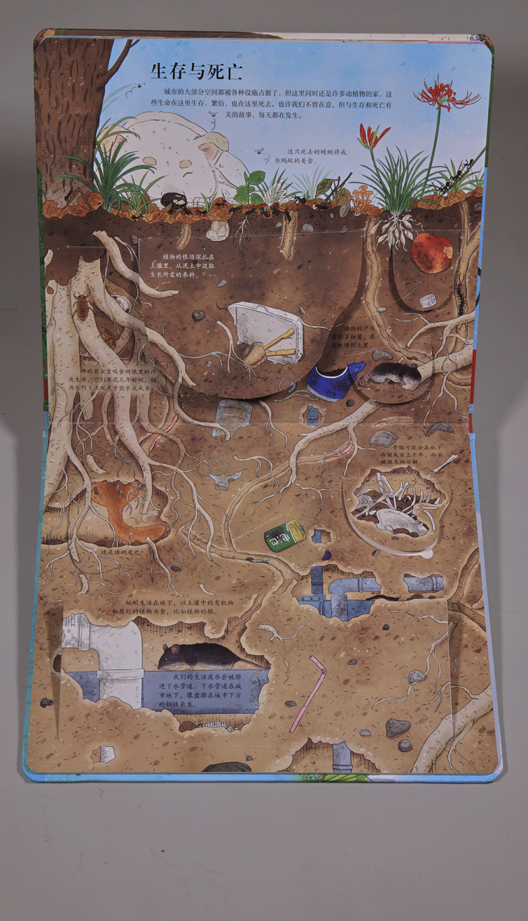 百科立体绘本｜狐狸家  •  乐乐趣 诚意之作