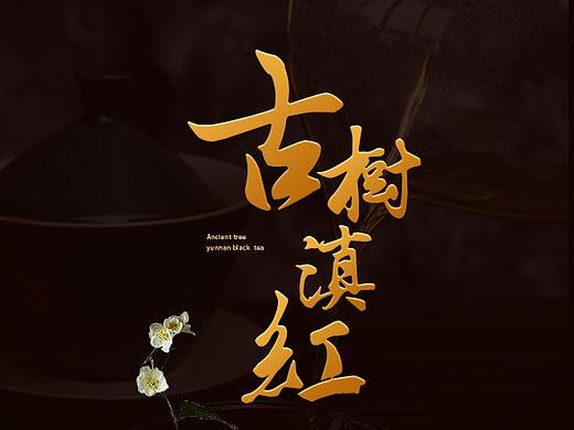 茶叶详情