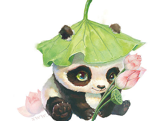 【萌宠by雪娃娃】荷花熊猫