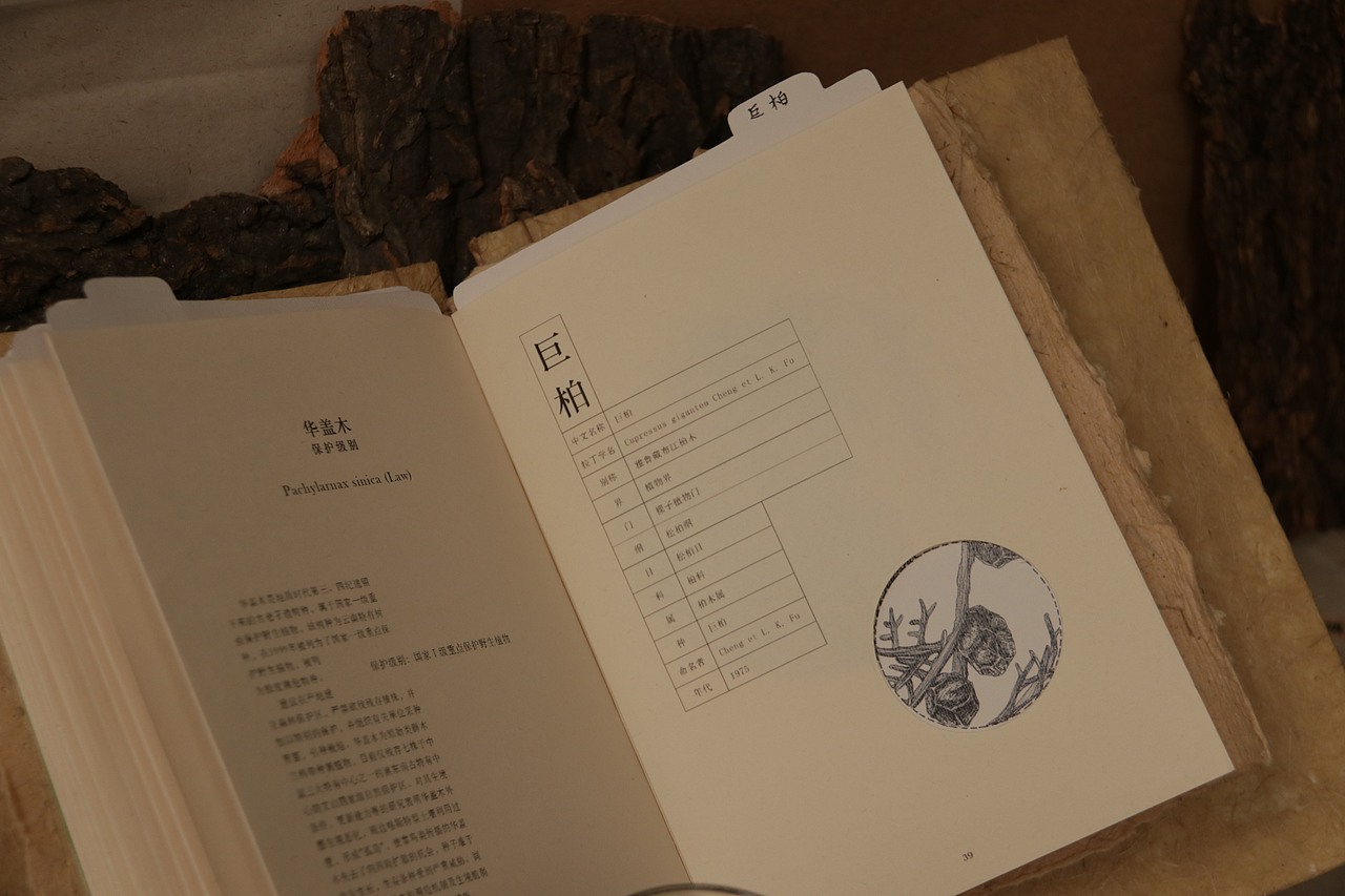 中国濒临树种档案 ｜手工制作书籍（图ZMTIwNzQ1OTIw） - 书籍/画册 - 站酷设计师Cq_H原创素材 - 站酷ZCOOL