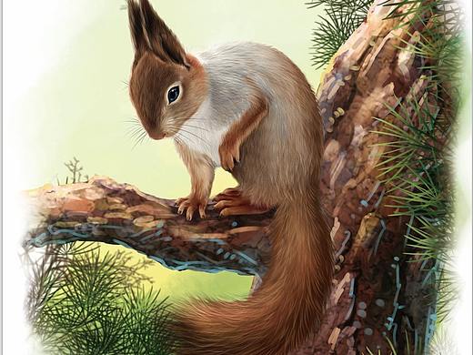 儿童科普类 教育类 上色插图