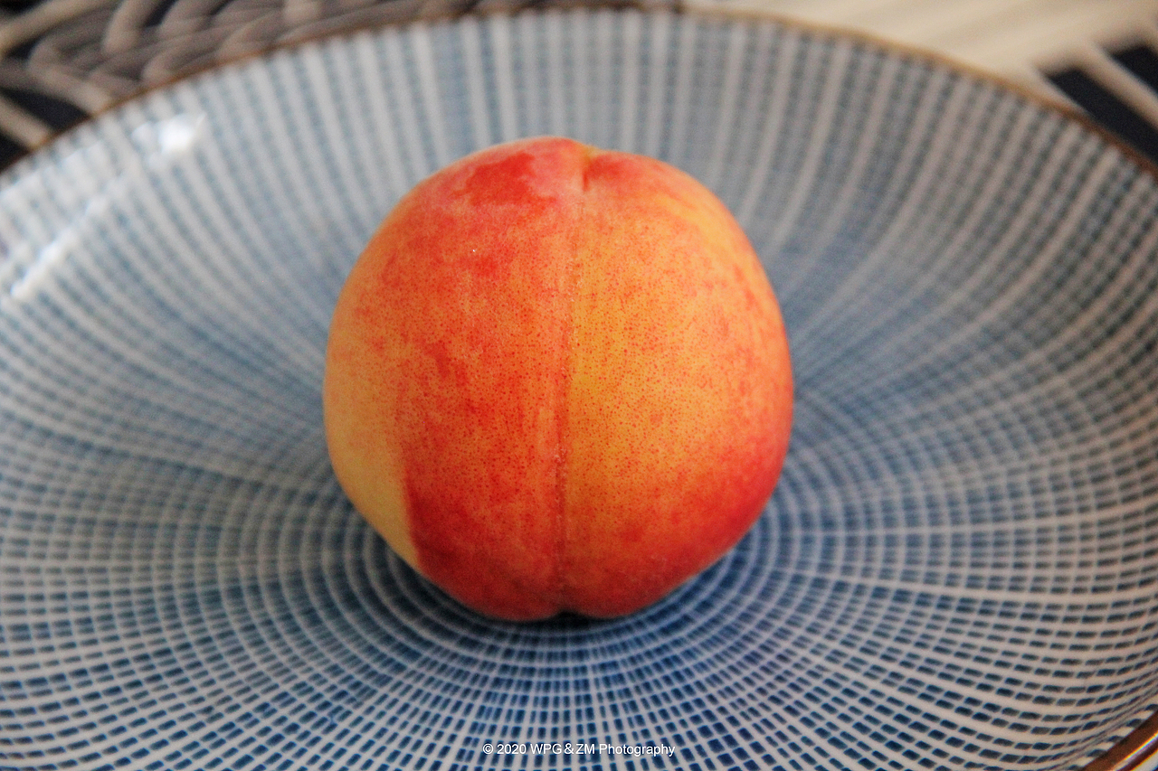 《 六月の尾 》