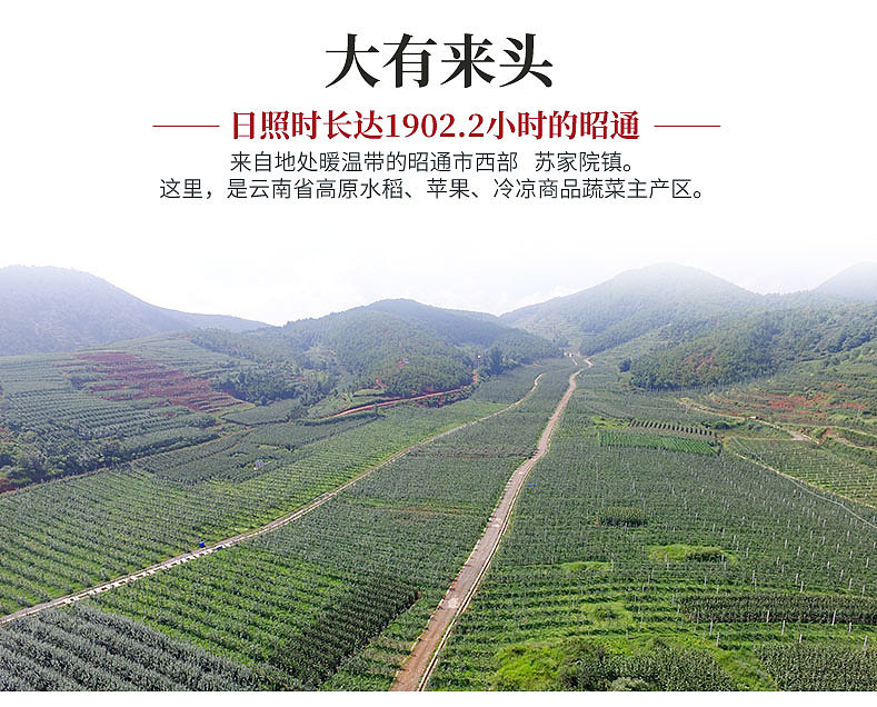 昭通苹果众筹详情页设计