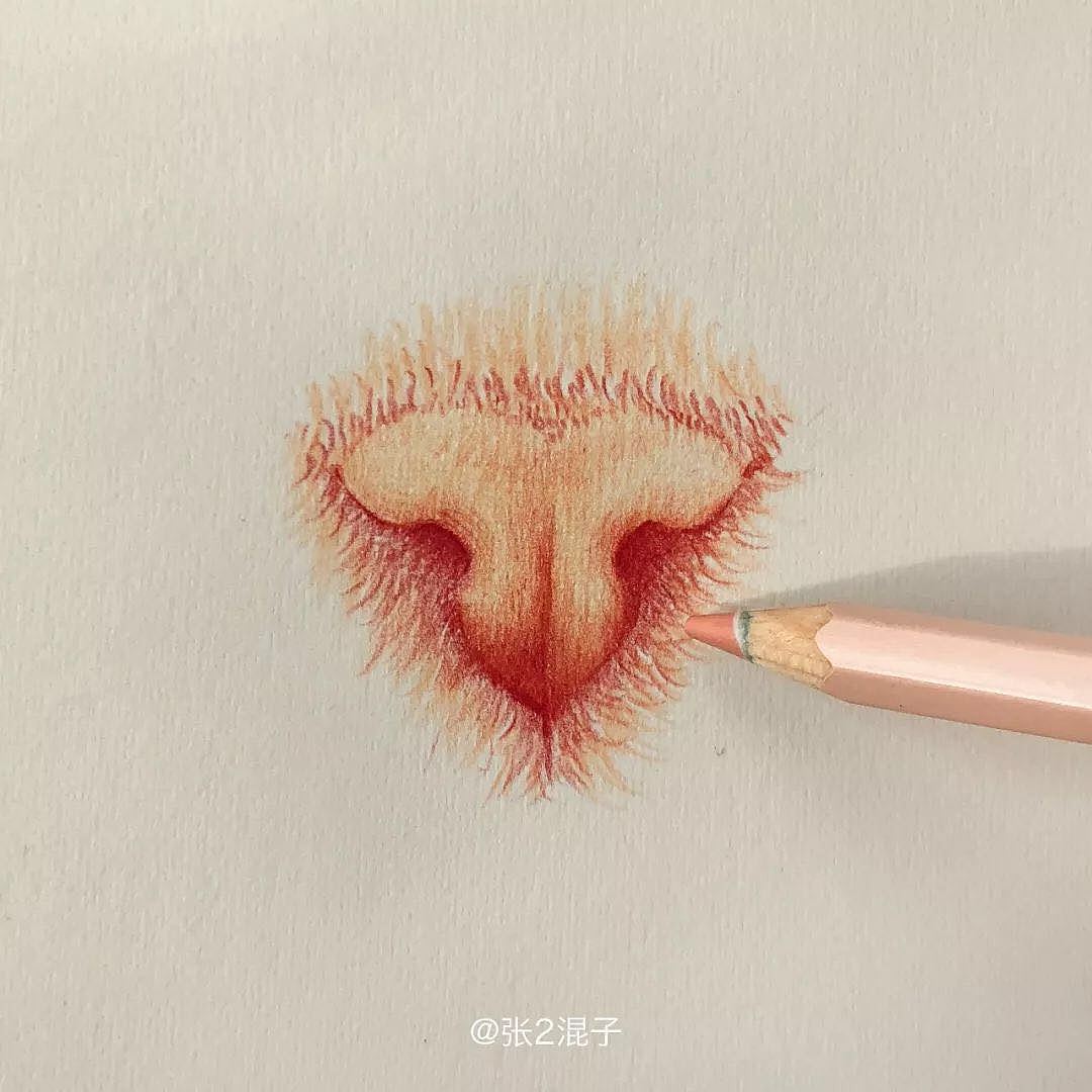 彩铅10分钟画出粉嫩猫鼻子