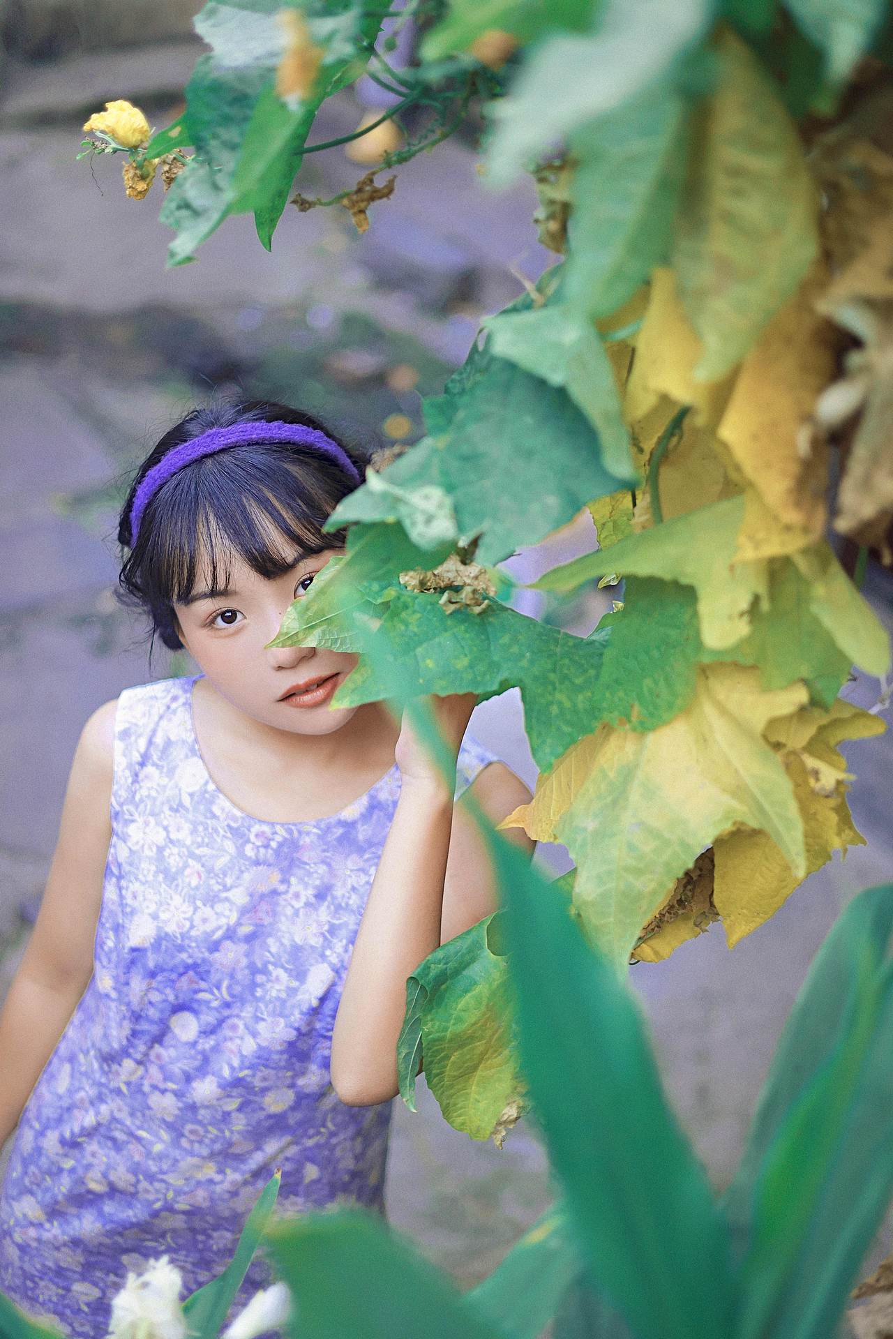 邻家女孩-卜卜（图ZMjc3MzQ5NDY0） - 人像摄影 - 站酷设计师midy有岸原创素材 - 站酷ZCOOL