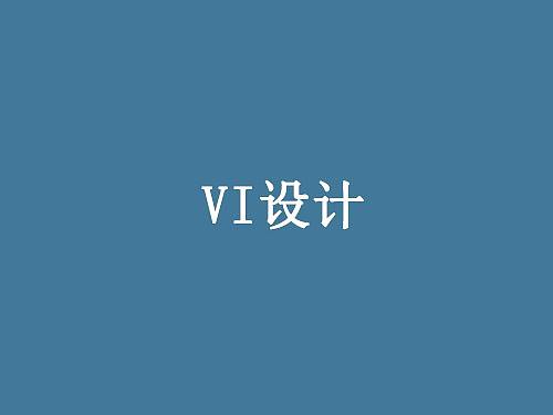 VI手册