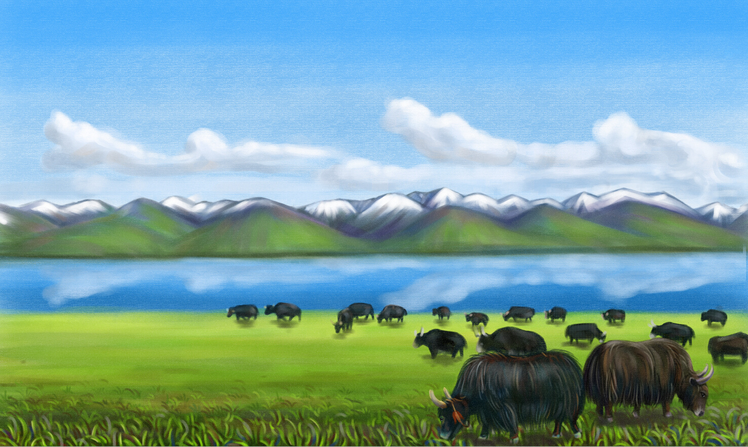 牦牛|插画|商业插画|yongfeng1991 - 原创作品 - 站酷 (zcool)