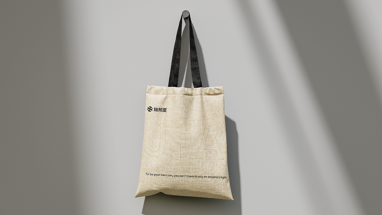 陆知夏服装品牌提案