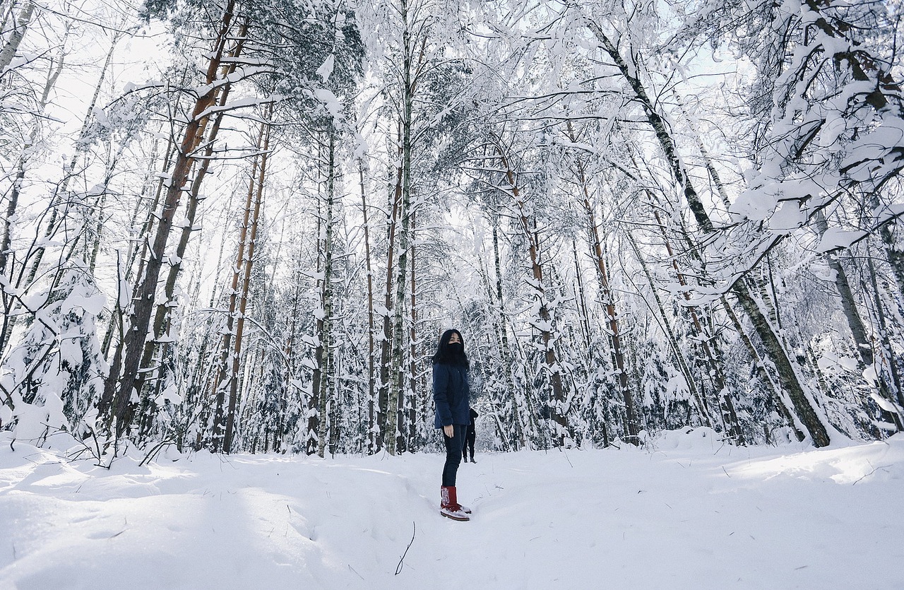 最后一站——神秘的伊斯特拉电器工程研究所
「Lng & Lat: 55.9237606,36.8190094」