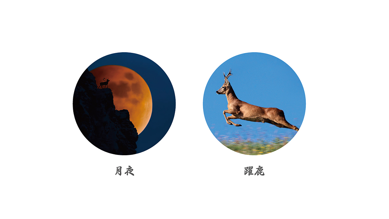 『觅鹿』葡萄酒品牌设计提案（图ZNzk4MTczOTI=） - 品牌 - 站酷设计师邢者工作室原创素材 - 站酷ZCOOL