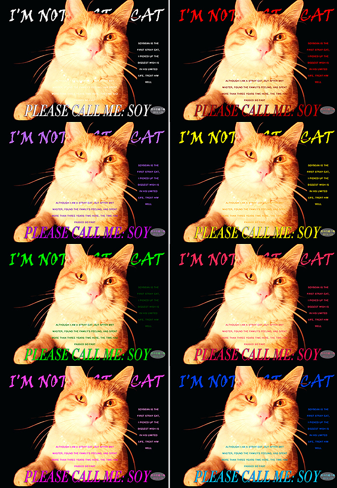 我不是一只猫（图ZMjQwODAxODQ=） - 海报 - 站酷设计师夏尛寞滴原创素材 - 站酷ZCOOL