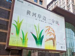 黃河岸邊一分田