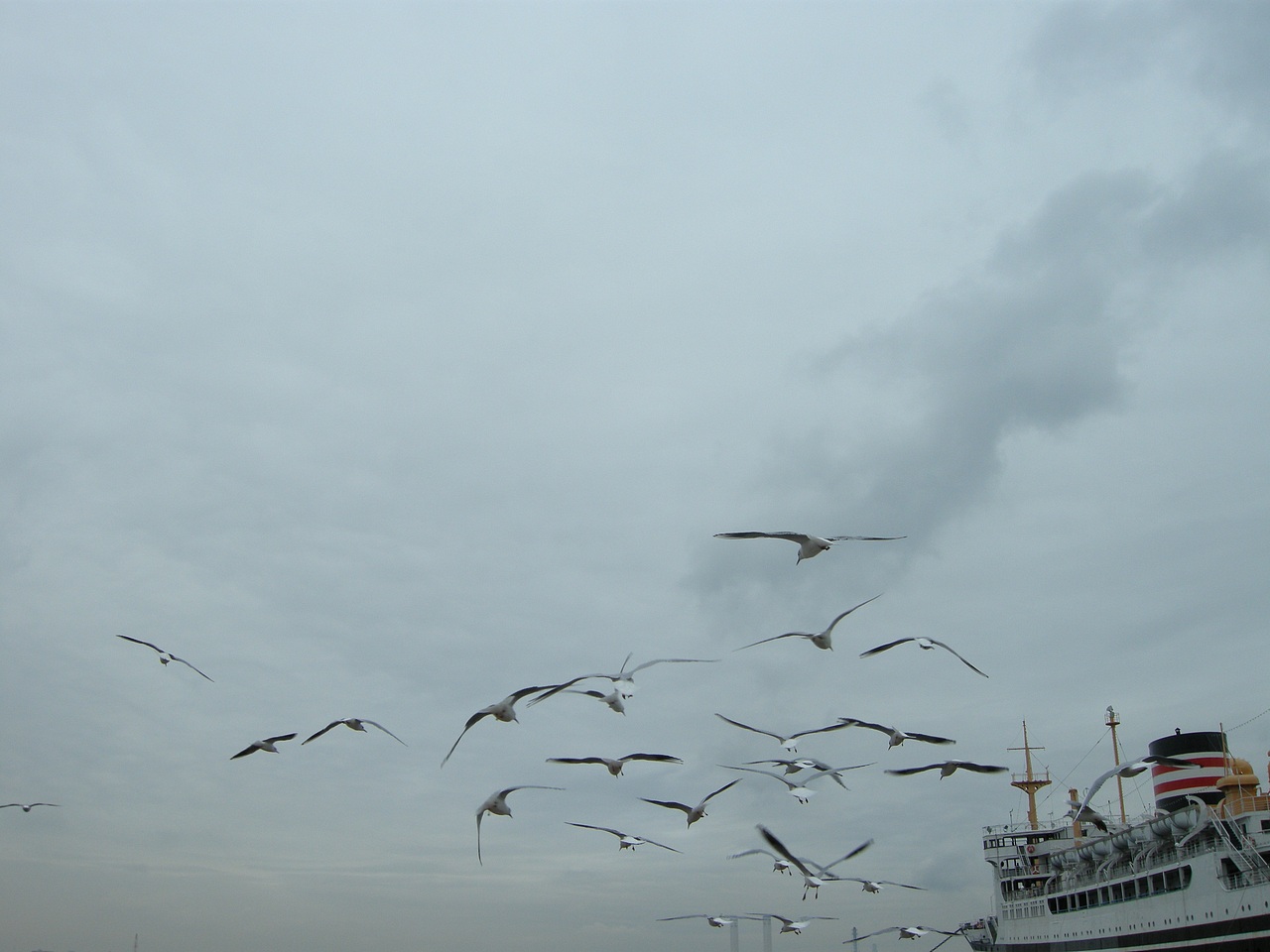 霓虹，霓虹一路