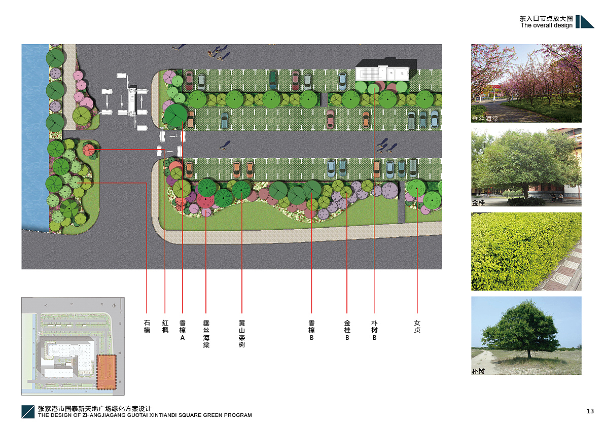 园林景观方案设计TOP3（张家港市国泰新天地广场绿化方案设计）（图ZMjMwOTIwMjA=） - 书籍/画册 - 站酷设计师YuanMeng杨剑原创素材 - 站酷ZCOOL