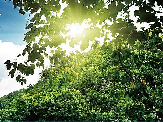 某日化品外包装展示（个人主页-ZMjk0NzYxNDQ=） - 包装 - 站酷设计师zh__0096原创素材 - 站酷ZCOOL