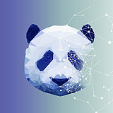 杰克君威的头像