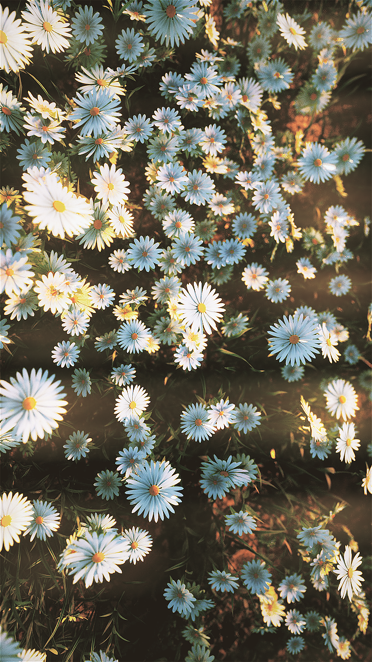 2019上半年个人创作总结