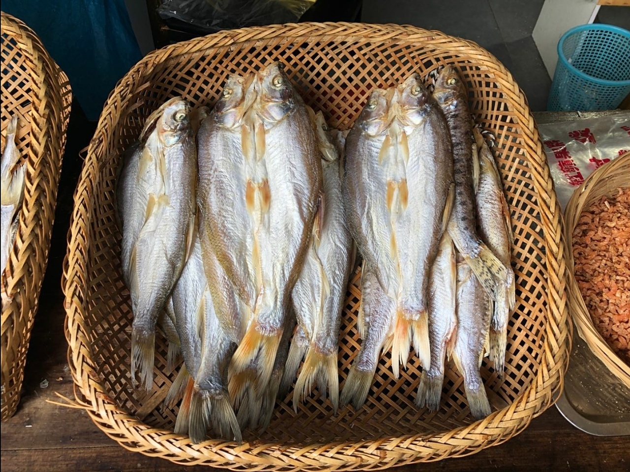 这个是在苏州拍到的小咸鱼啦!