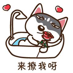 二哈微信表情第一弹（图ZODUzMzM1MTY=） - 网络表情 - 站酷设计师温不二原创素材 - 站酷ZCOOL